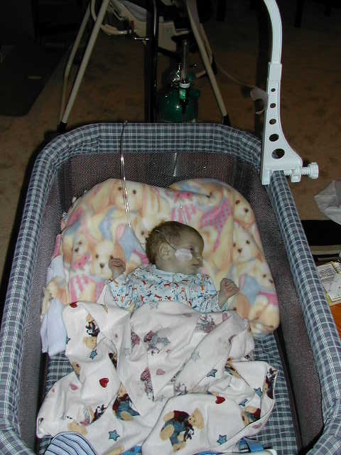 467x626 pixels (74K)