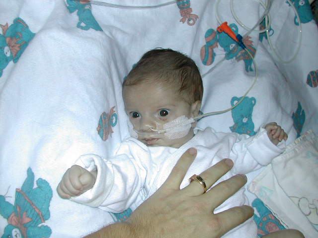 627x466 pixels (44K)