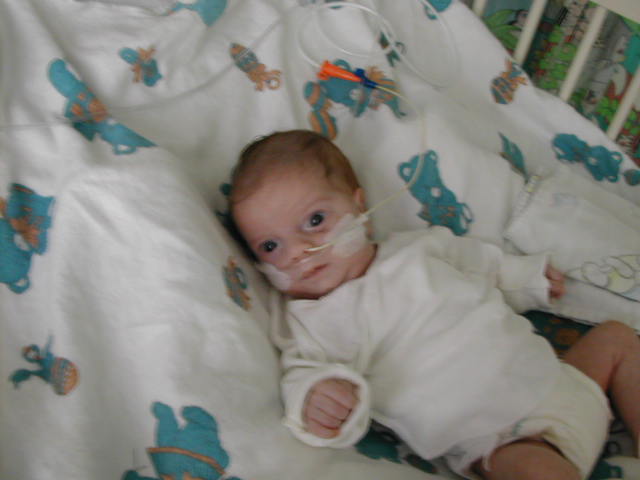 627x466 pixels (37K)