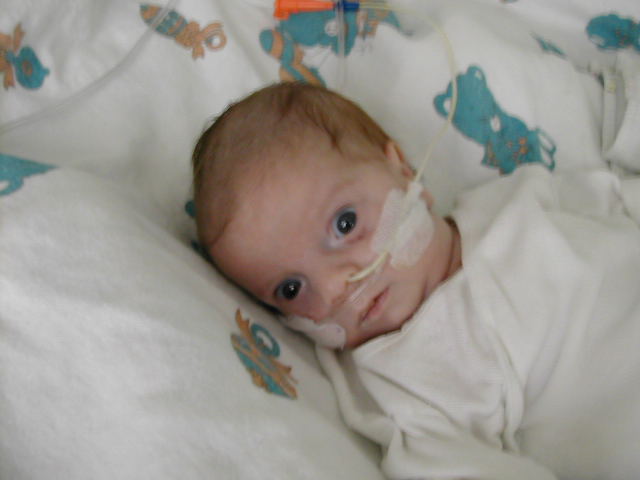 627x466 pixels (34K)