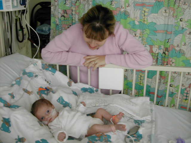 627x466 pixels (39K)