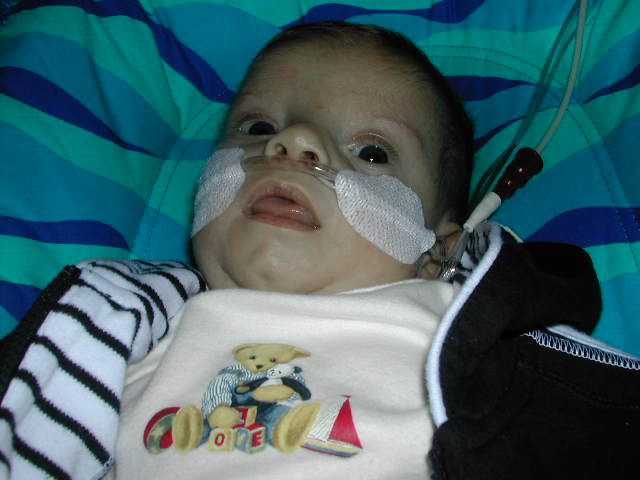 627x466 pixels (43K)