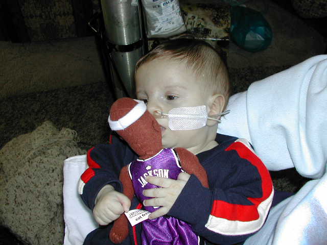 618x457 pixels (41K)