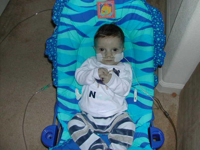 618x457 pixels (43K)