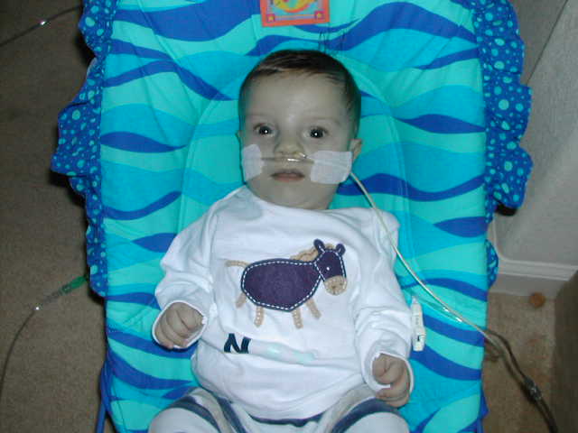 618x457 pixels (39K)