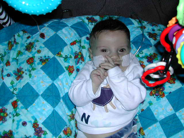 618x457 pixels (48K)