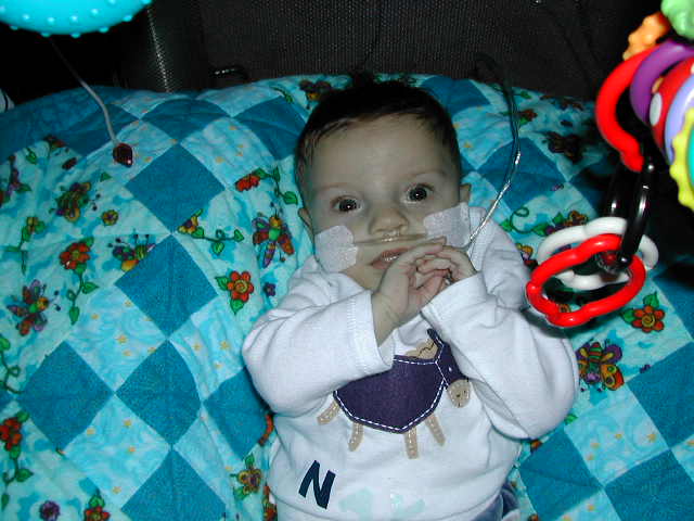 618x457 pixels (48K)