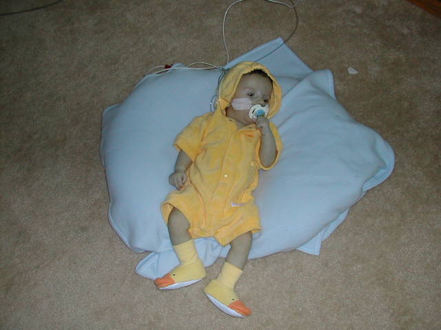 618x457 pixels (42K)