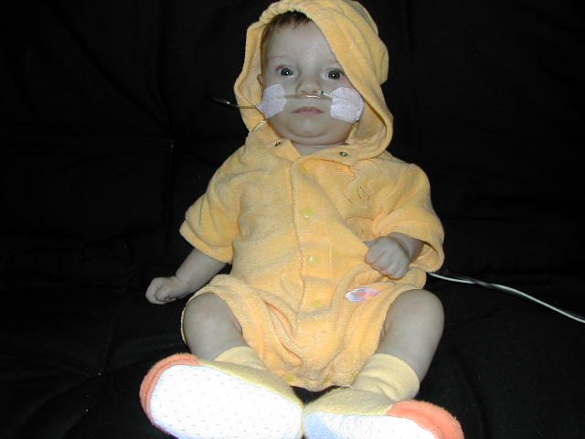 618x457 pixels (36K)