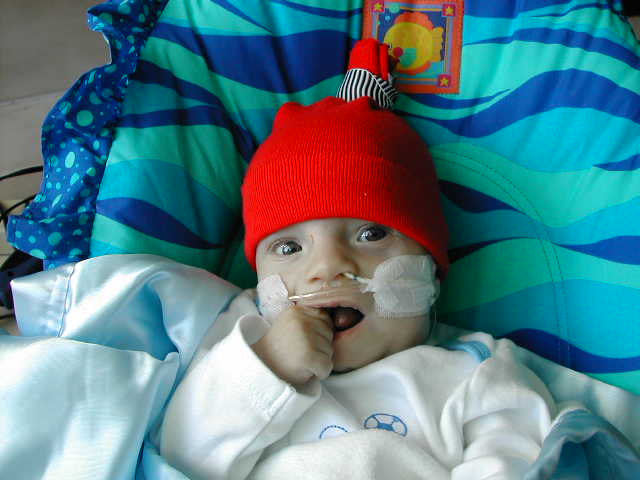 618x457 pixels (40K)