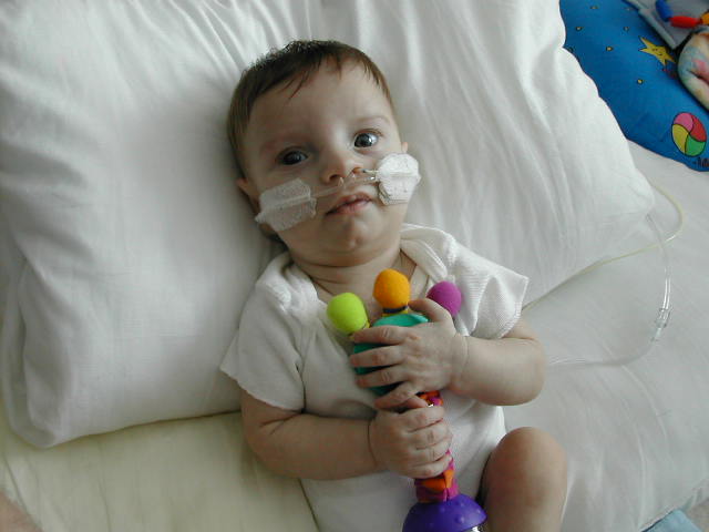 618x457 pixels (37K)