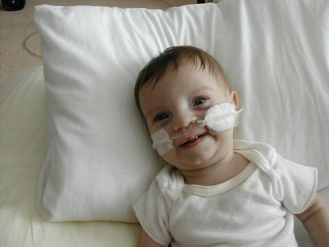 618x457 pixels (36K)