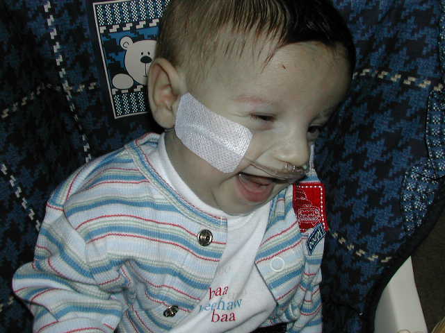 618x457 pixels (47K)