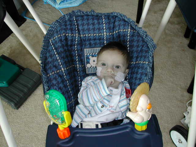 618x457 pixels (48K)