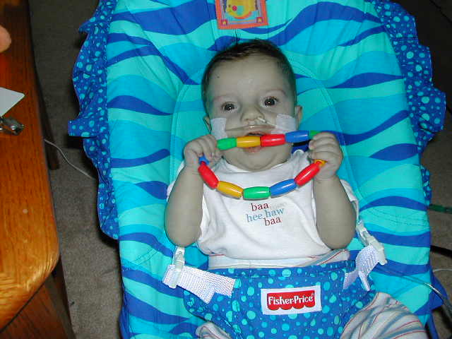 618x457 pixels (48K)