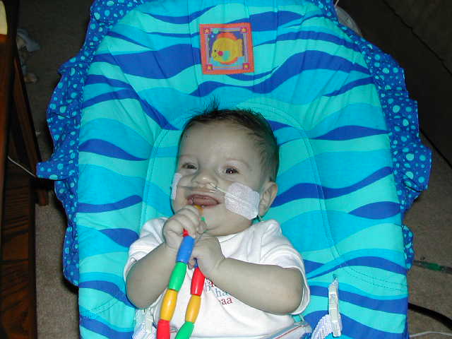 618x457 pixels (45K)