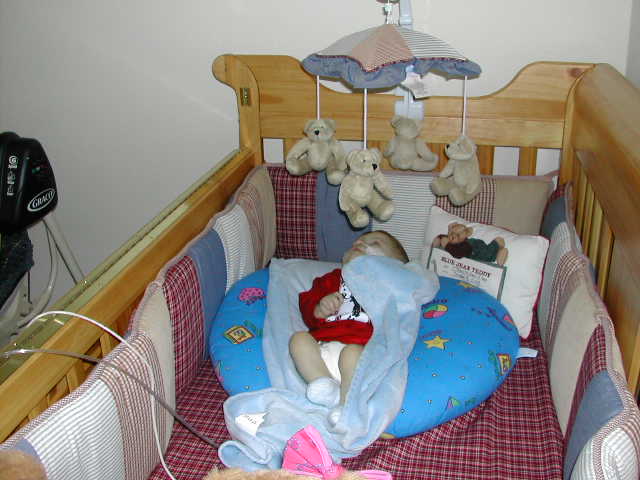 618x457 pixels (46K)