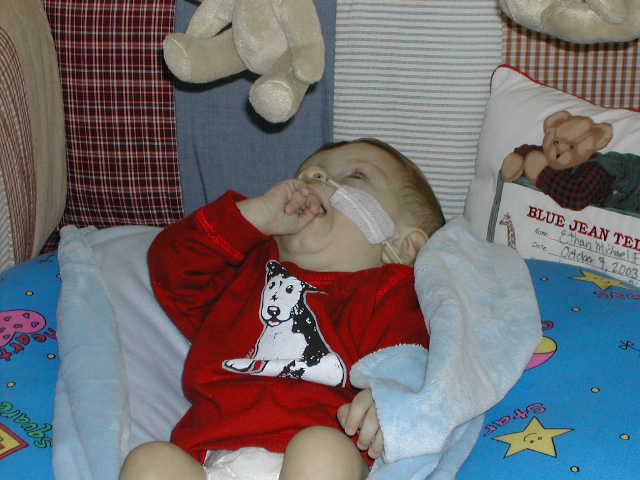 618x457 pixels (43K)