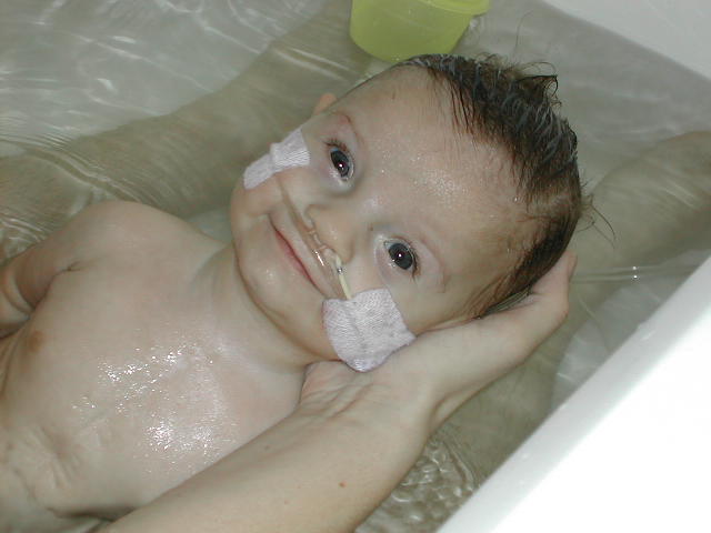 618x457 pixels (36K)