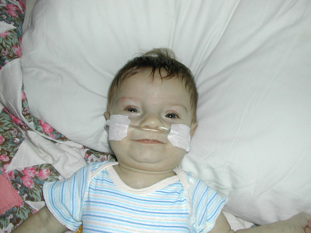 1002x745 pixels (338K)