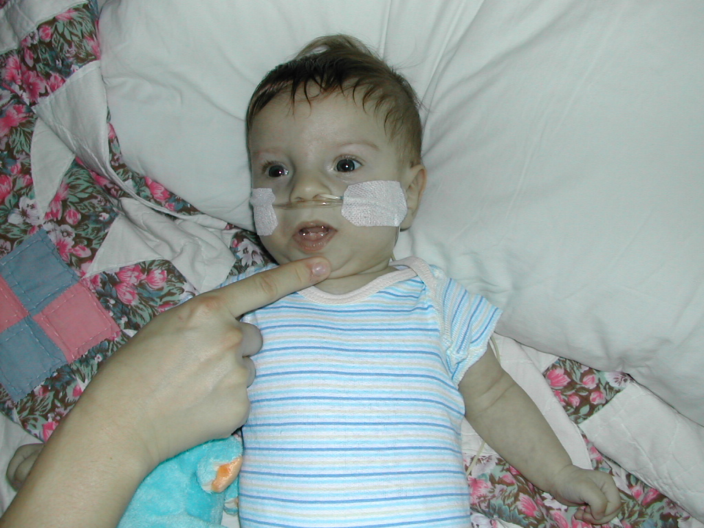 1002x745 pixels (321K)