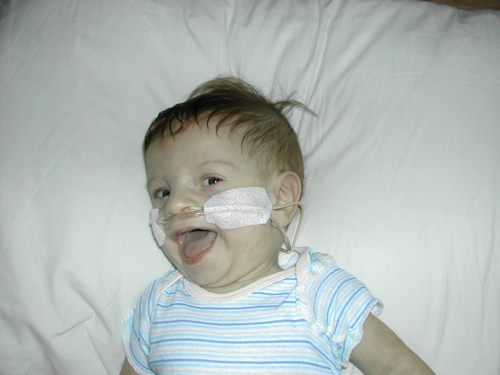 1002x745 pixels (305K)