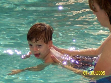 426x313 pixels (31K)